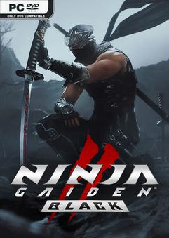 NINJA-GAIDEN-2-Black-pc-free-download